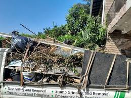Best Yard Waste Removal  in Auburn, IN